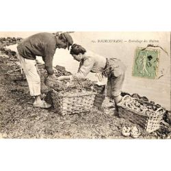 Bourcefranc