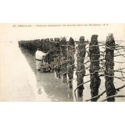 Brouage