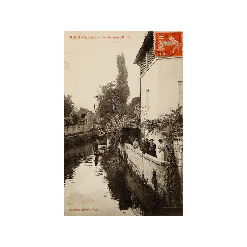 Pons