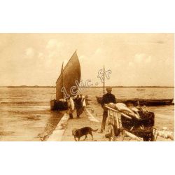 Saint-Nazaire-Sur-Charente