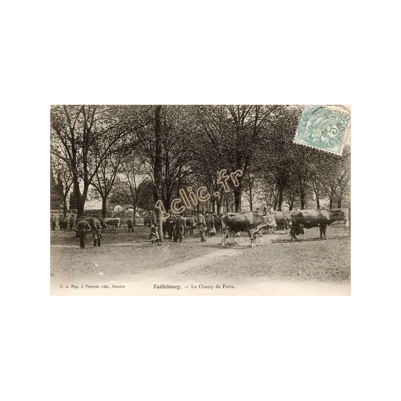 Taillebourg
