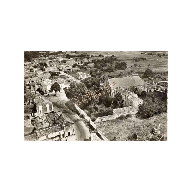 Taugon