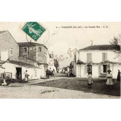 Taugon