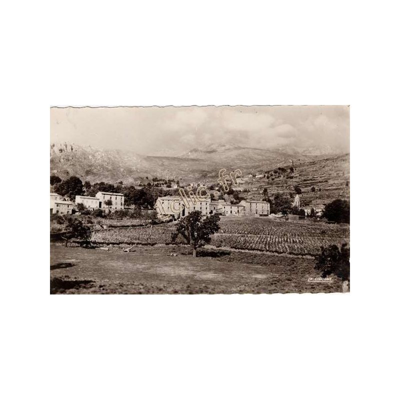 Albertacce
