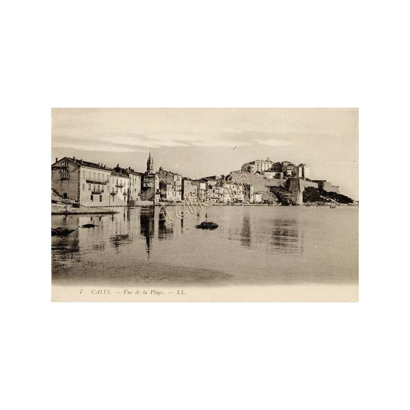 Calvi