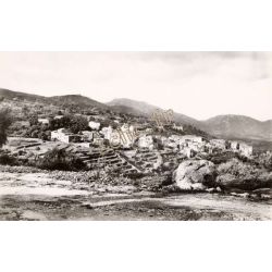 Cateri