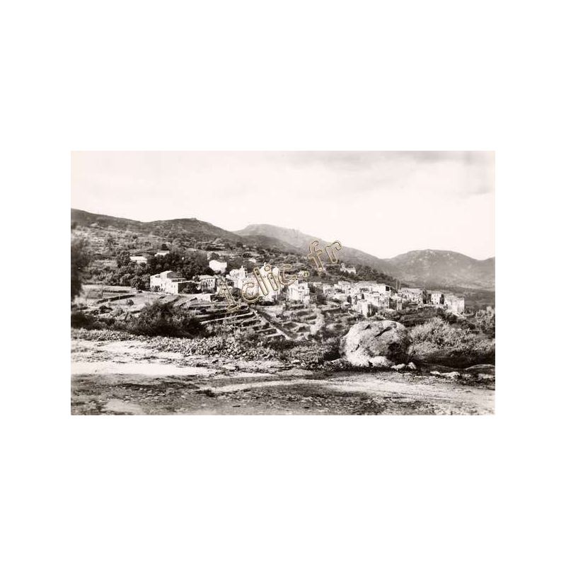Cateri