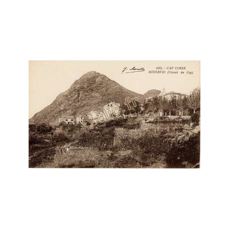 Minervio