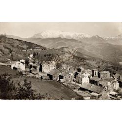 Pancheraccia