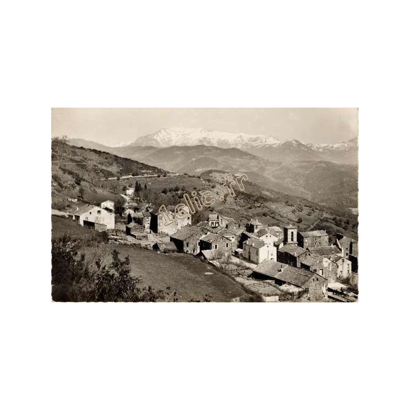 Pancheraccia