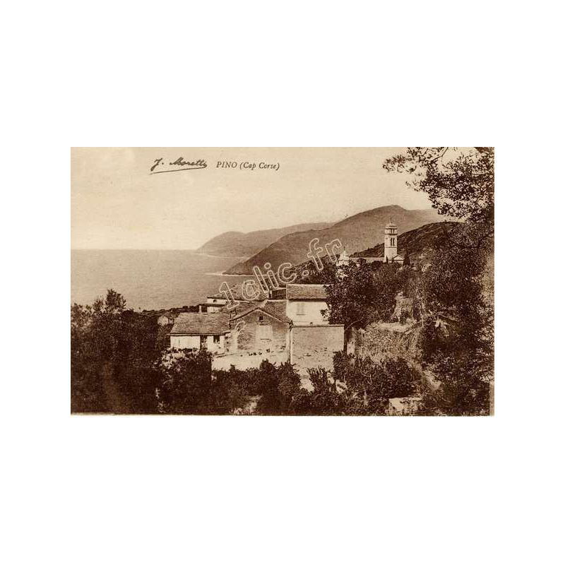 Pino