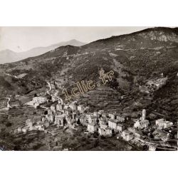 Vico
