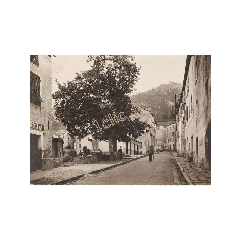 Vivario
