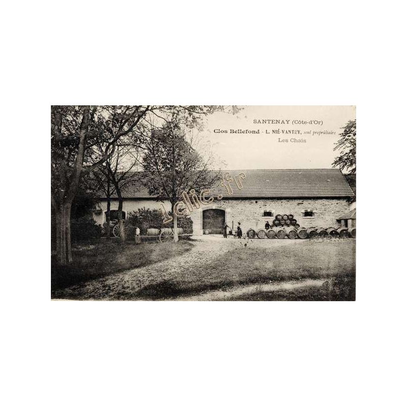 Santenay