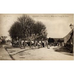 Seurre