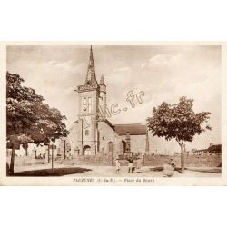 Pluzunet