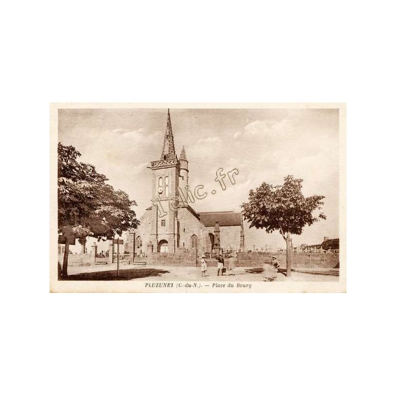Pluzunet