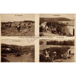 Donzere