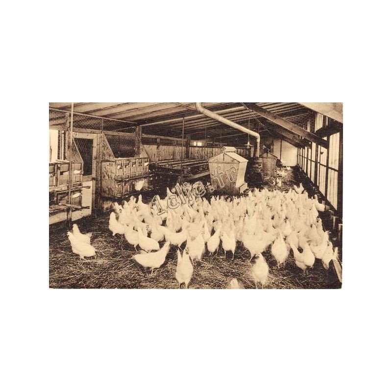 Saint-Denis-D'Augerons