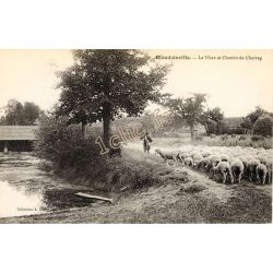 Blandainville