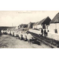 Theuvy