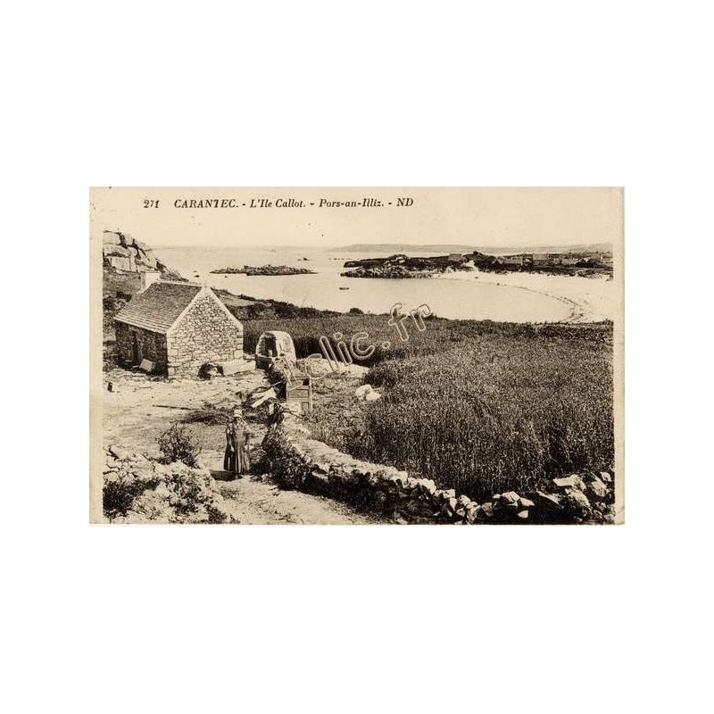 Ile-Callot
