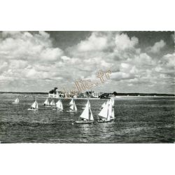 Ile-Tudy