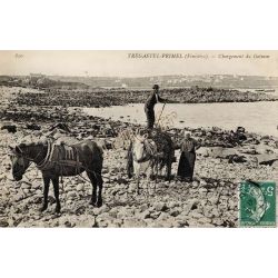 Primel-Tregastel