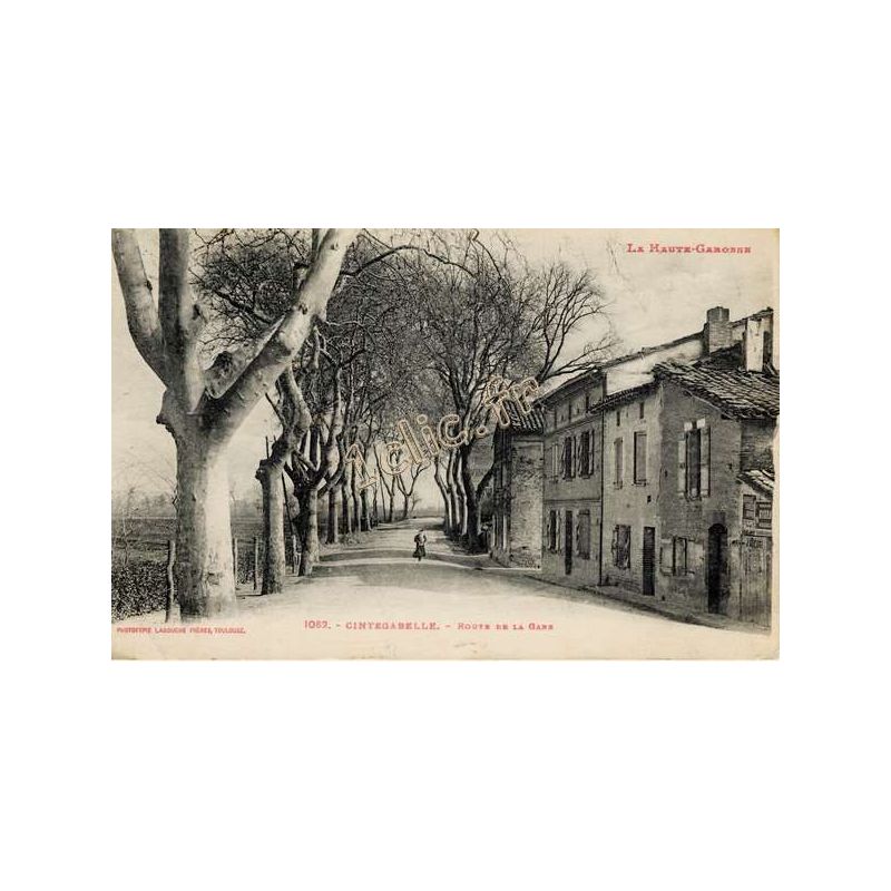 Cintegabelle