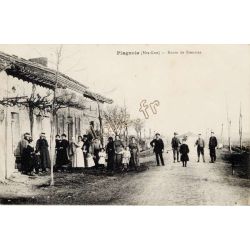Plagnole