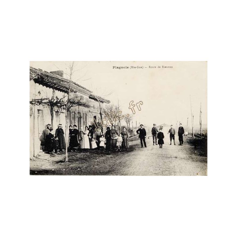 Plagnole