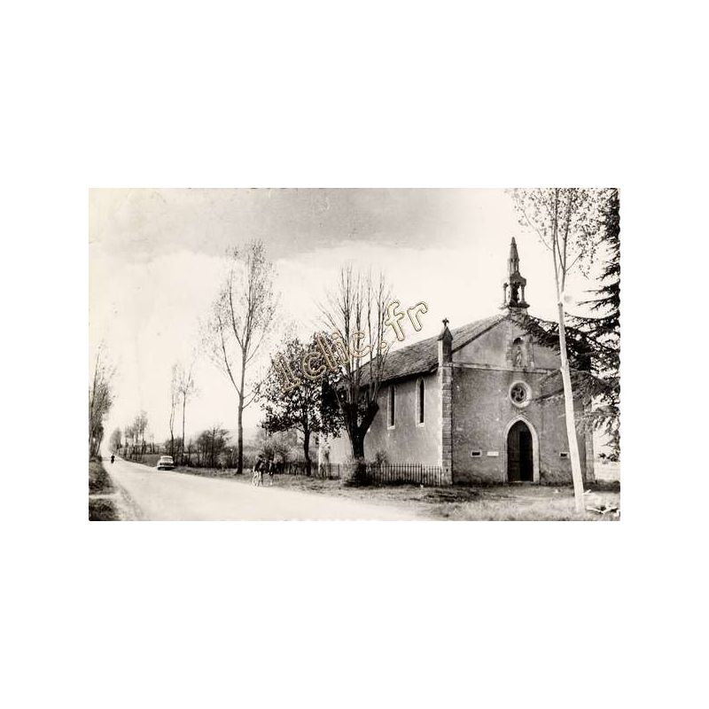 Pavie
