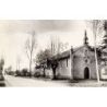 Pavie