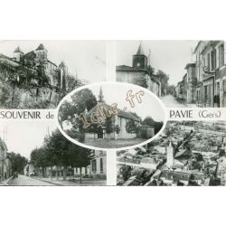 Pavie