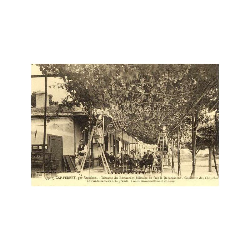 Cap-Ferret