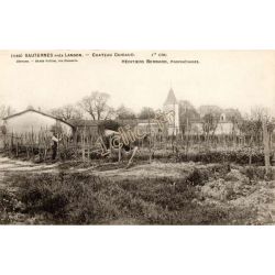 Sauternes