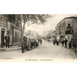 Belarga