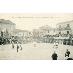 Marsillargues