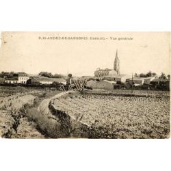 Saint-Andre-De-Sangonis