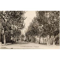 Saint-Andre-De-Sangonis