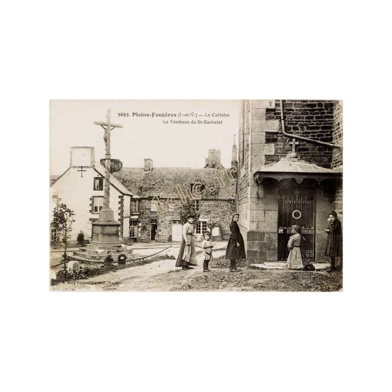 Pleine-Fougeres