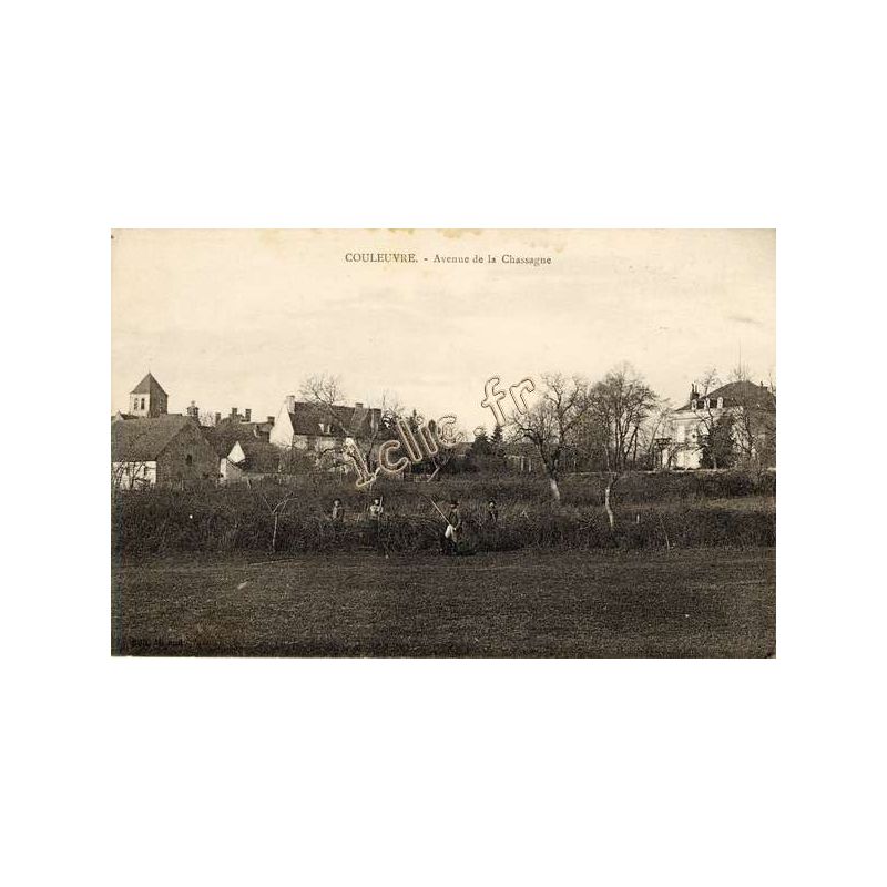 Couleuvre