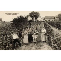 Bourgueil