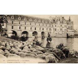 Chenonceaux