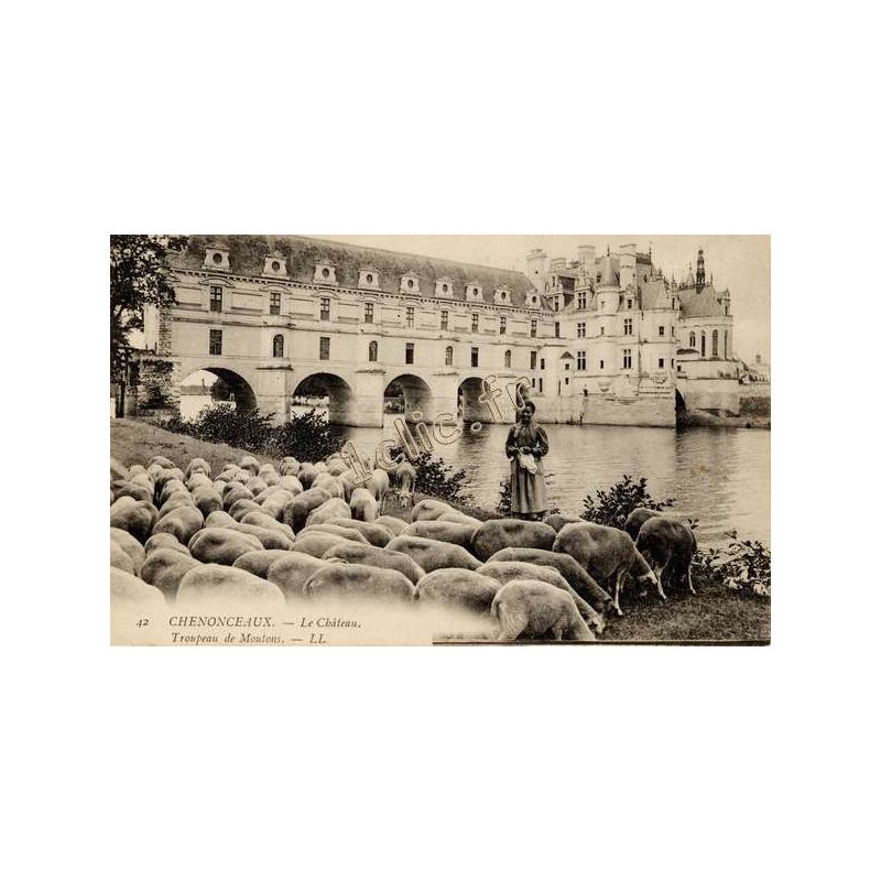 Chenonceaux