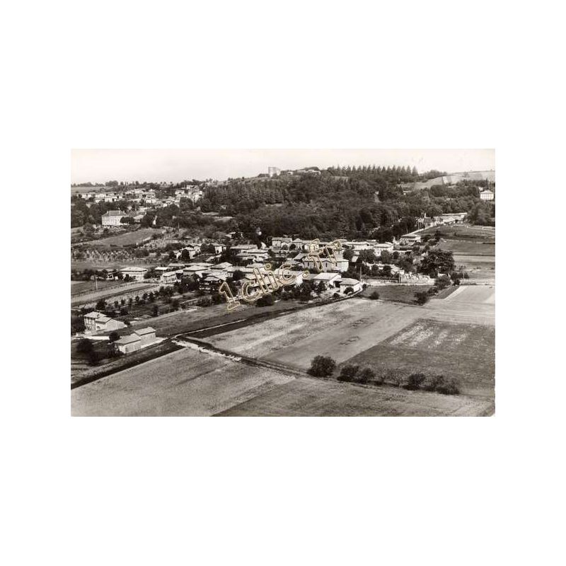 Anjou