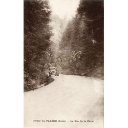 Fort-Du-Plasne