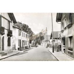 Arengosse