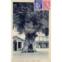 Biscarrosse