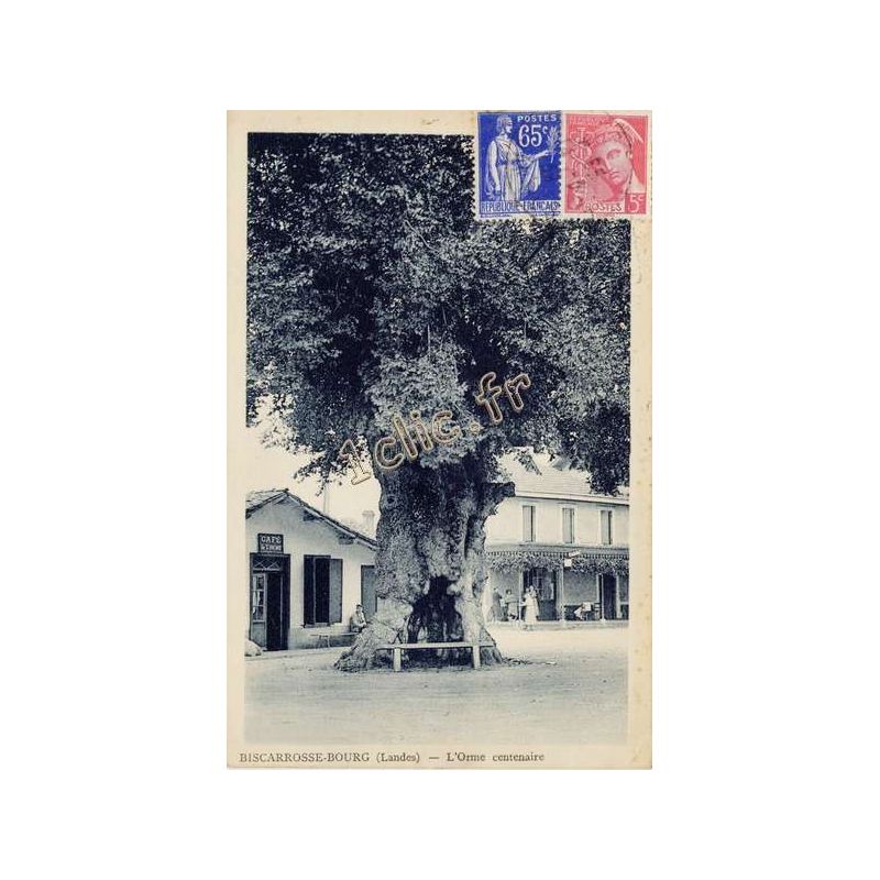 Biscarrosse